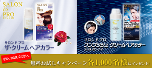 salondepro20002