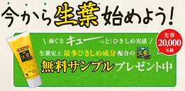 syoyouex2