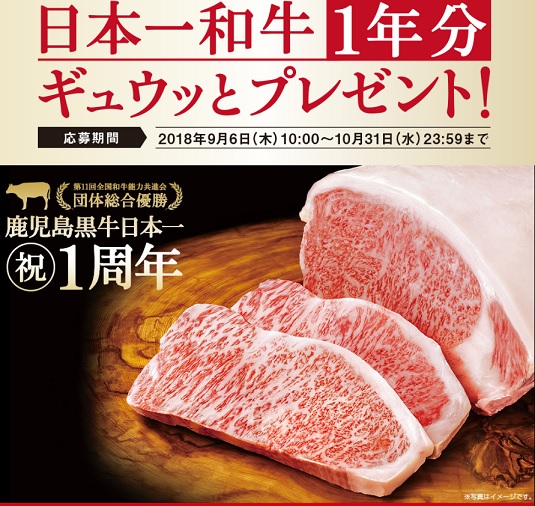 日テレ おしゃれイズム マジョリカマジョルカ ジェルリキッドライナー 新色3本10名視聴者プレゼントキャンペーン 超役立つ無料サンプル懸賞サイト